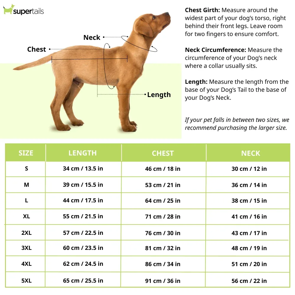 Pets Way Champions Trophy Jersey for Dogs (Blue) - Image 2