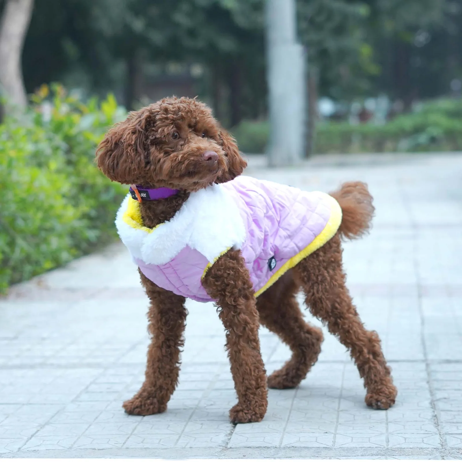 Pets Way Cozyquilt Winter Jacket for Dogs (Mauve)
