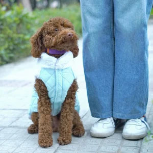 Pets Way Cozyquilt Winter Jacket for Dogs (Sky)