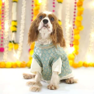 Pets Way Sartaj Kurta for Dogs