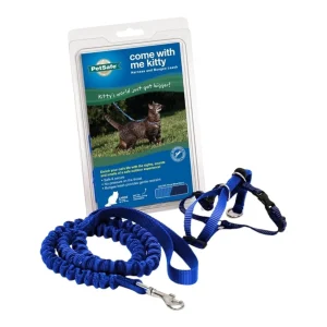 PetSafe Cat Come With Me Kitty Harness And Bungee Leash Royal, Blue Large