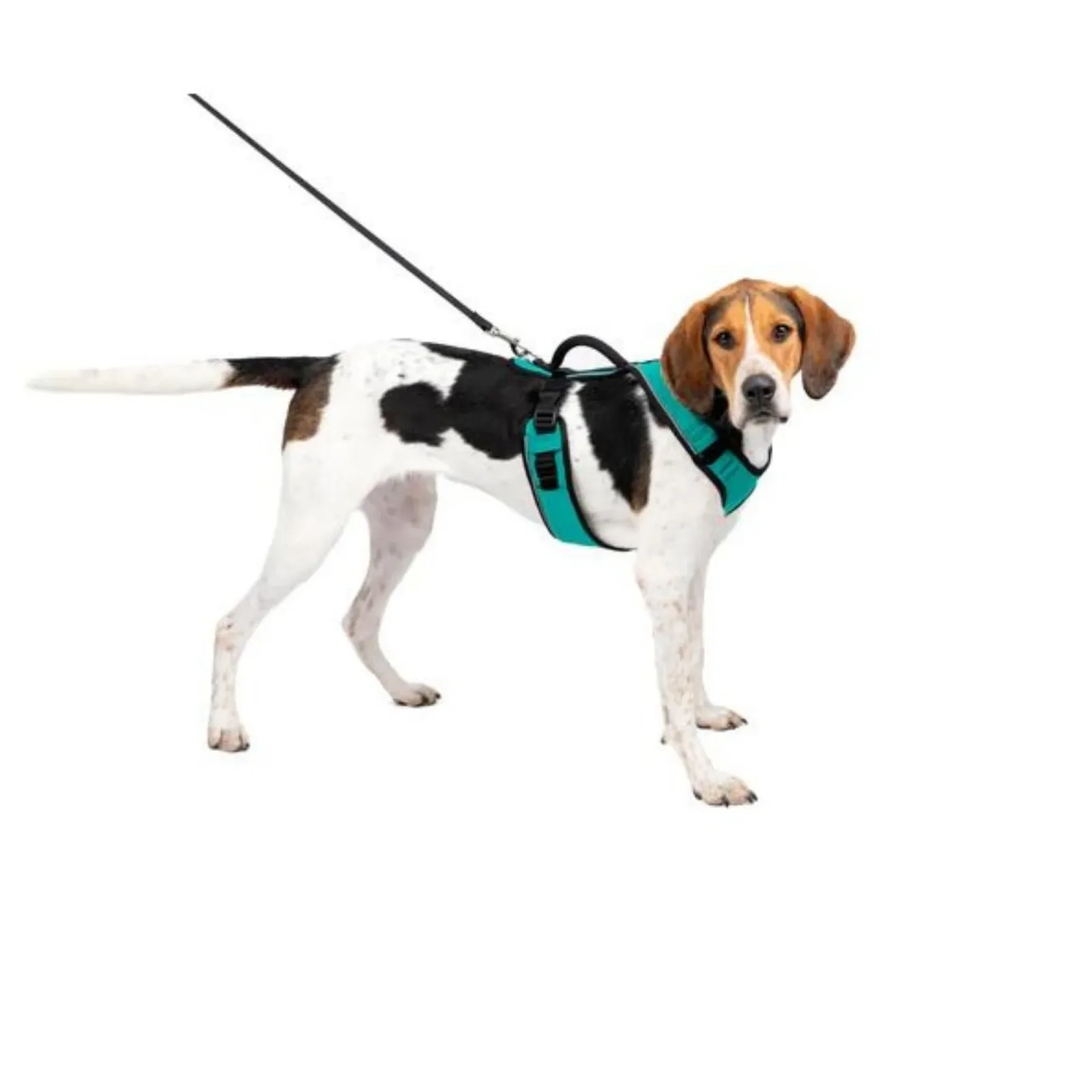 PetSafe Dog Easy Sport Dog Harness Teal Small - Image 2