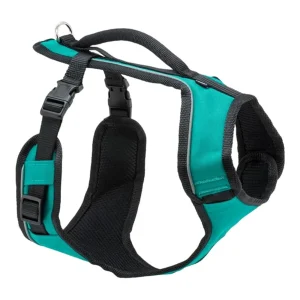 PetSafe Dog Easy Sport Dog Harness Teal Small