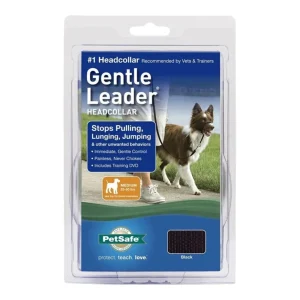 PetSafe Dog Gentle Leader Dog Head Dog Collar, Black Medium