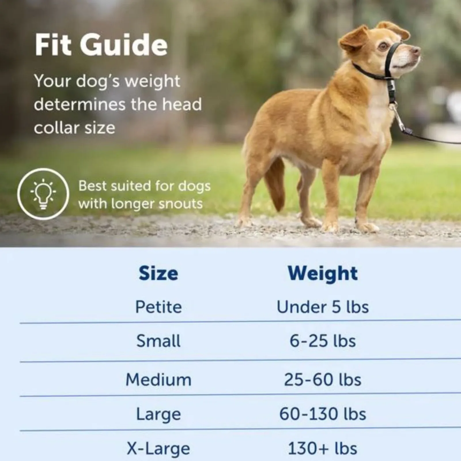 PetSafe Dog Gentle Leader Head Dog Collar Royal, Blue Medium - Image 2