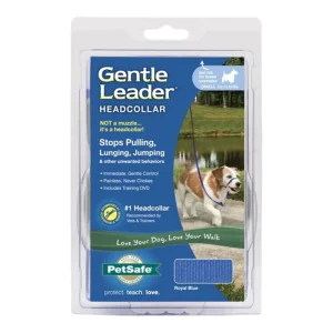 PetSafe Dog Gentle Leader Head Dog Collar Royal, Blue Small