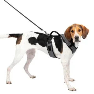 Petsafe Easysport Harness Charcoal Lg