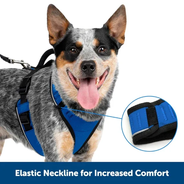 Petsafe Easysport Harness Teal Lg - Image 2