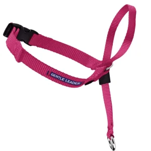 PetSafe Gentle Leader No-Pull Dog Headcollar Raspberry Medium