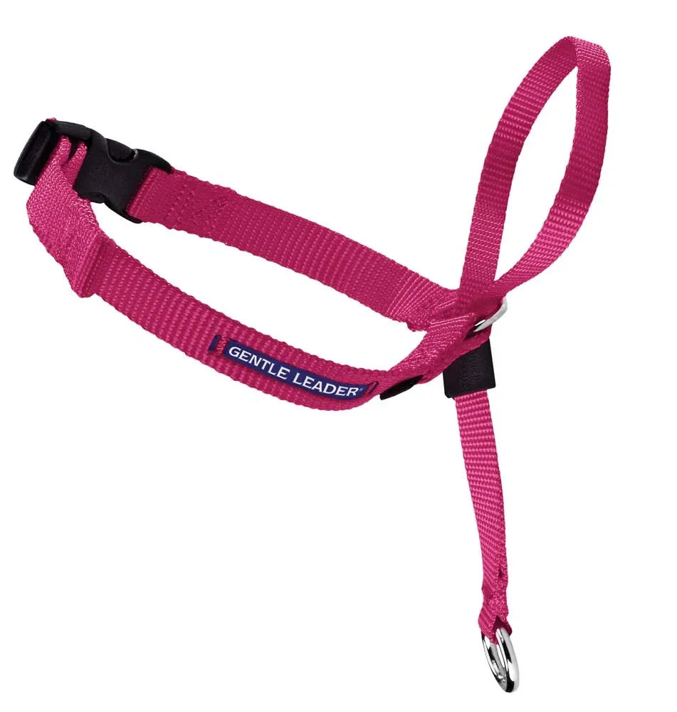 PetSafe Gentle Leader No-Pull Dog Headcollar Raspberry Medium