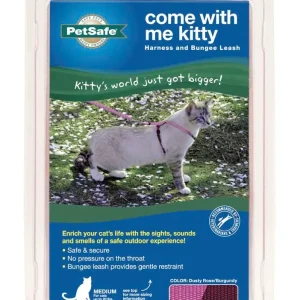 PetSafe Premier Come With Me Kitty Harness & Bungee Leash Combo Dusty Rose/Burgundy Large