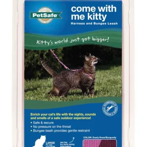 PetSafe Premier Come With Me Kitty Harness & Bungee Leash Combo Dusty Rose/Burgundy Medium