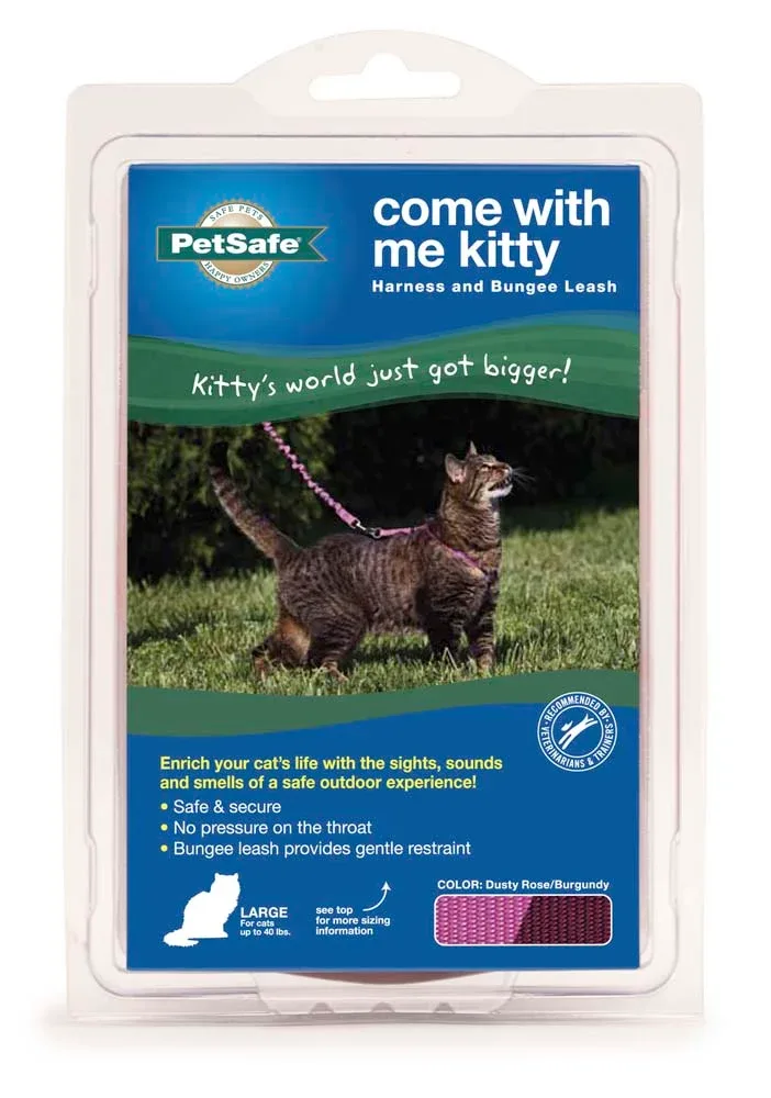 PetSafe Premier Come With Me Kitty Harness & Bungee Leash Combo Dusty Rose/Burgundy Medium