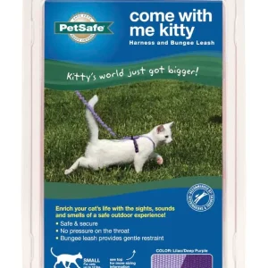 PetSafe Premier Come With Me Kitty Harness & Bungee Leash Combo Lilac/Deep Purple Small