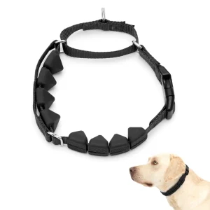 PetSafe Soft Point Training Collar 1in wide Black Large