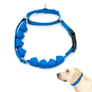PetSafe Soft Point Training Collar 1in wide Royal Blue Large