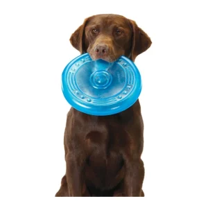 Petstages ORKA Flyer Dog Toy