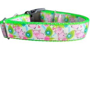 Pigs Playing Nylon Dog Collar