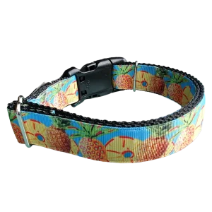 Pineapple Nylon Dog Collar