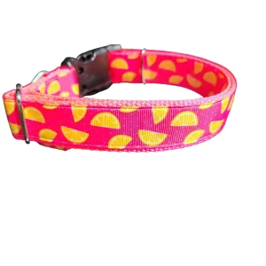 Pink Lemonade Nylon Dog Collar