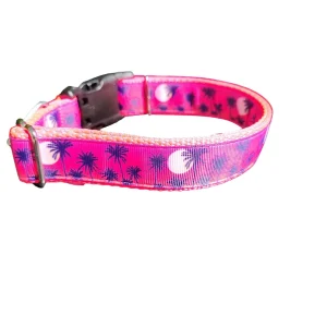 Pink Palm Trees Nylon Dog Collar