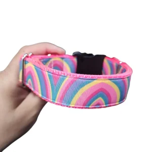 Pink Rainbow Nylon Dog Collar