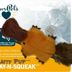Play-N-Squeak Platy Pup