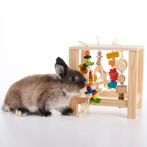 Play Table (Enriched Life by Oxbow)