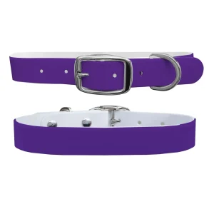 Plum Dog Collar