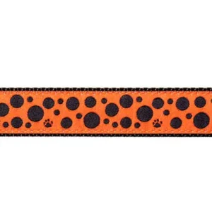 Polka Paws -- Black on Orange