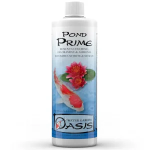 Pond Prime