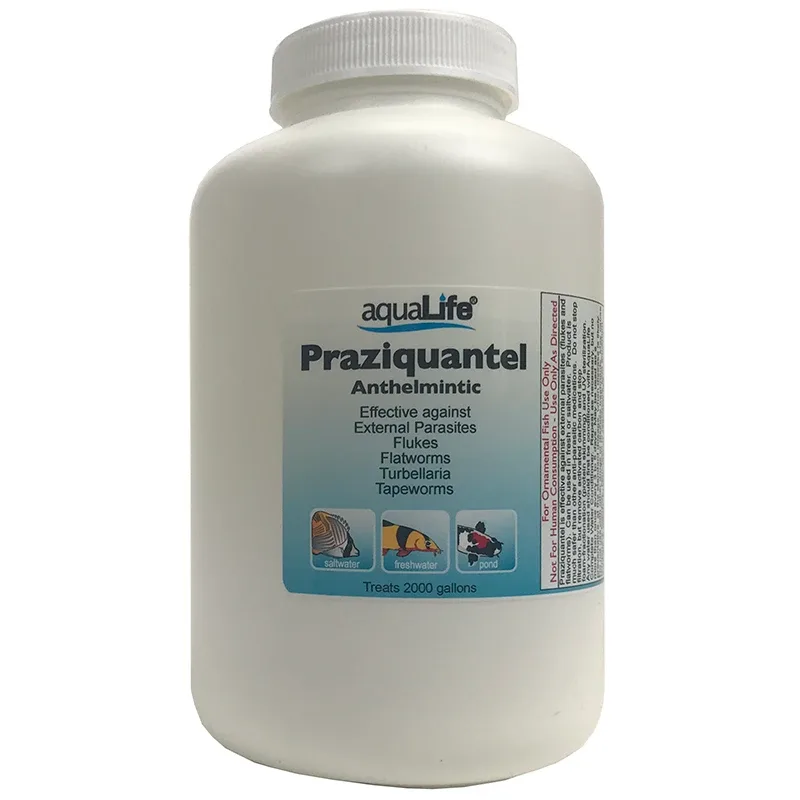 Praziquantel – Treats 2,000 Gallons