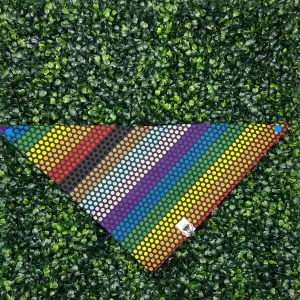 Pride Dots Bandana