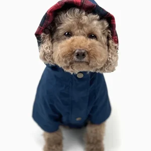 Navy Rain Jacket