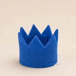 BRIGHT PARTY CROWNS