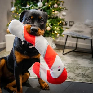 Comet Candy Cane