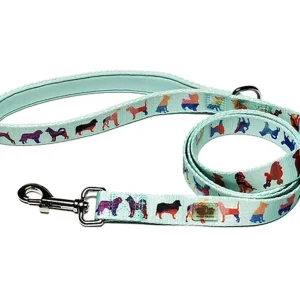 DRL 60 in Dog Leash