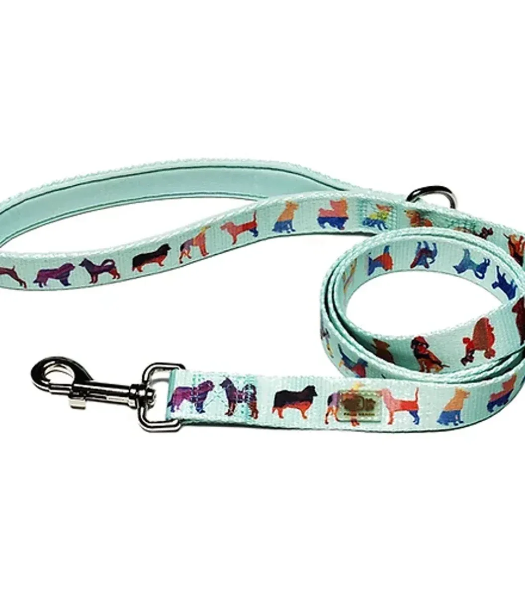 DRL 60 in Dog Leash