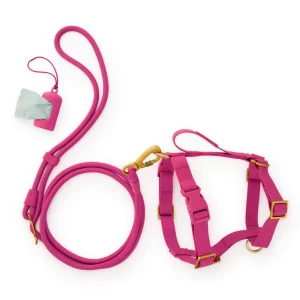 Active Everyday Harness Walk Set - With Handle (M/L), Dahlia