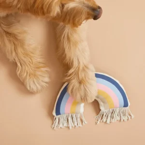 RAINBOW PLUSH DOG TOY