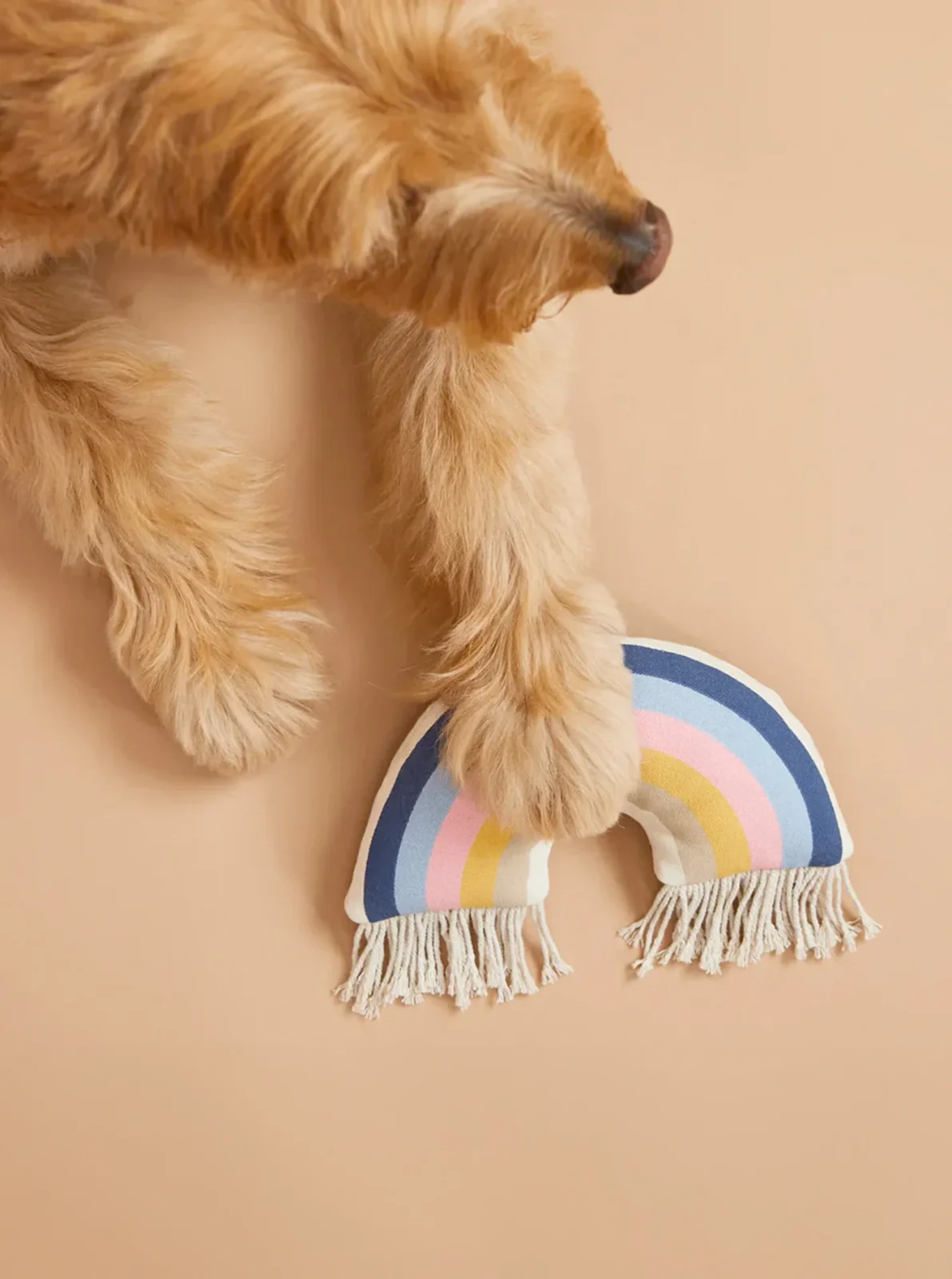 RAINBOW PLUSH DOG TOY