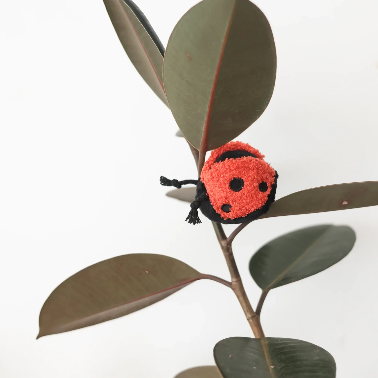 LADYBUG POP - Image 2