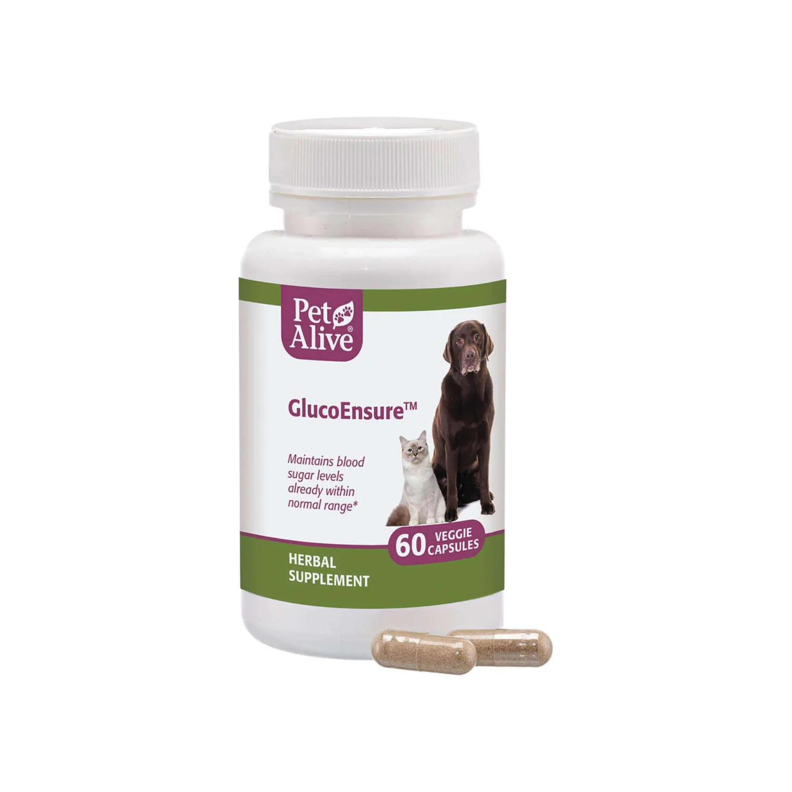 PetAlive GlucoEnsure Herbal Blood Sugar Support for Dogs & Cats - Image 2