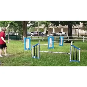 Clean Run B.A.D. Handling