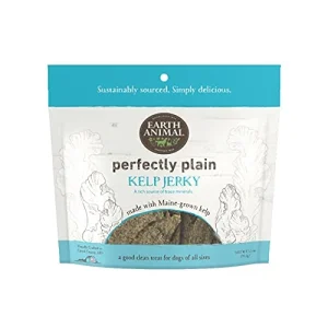 Earth Animal Dog Jerky Treats Plain Kelp - 3.5 Oz