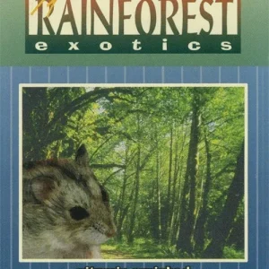 Kaylor of Colorado Rodent Rainforest Small Animal Foods - 2 lb Bag