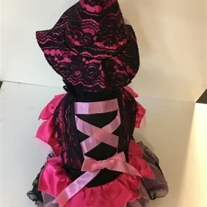 Halloween Pink Lace Witch