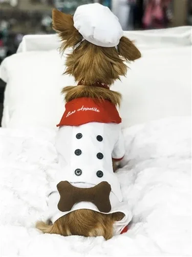Bone Appetite Chef Costume