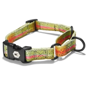 CutBow MARTINGALE DOG COLLAR