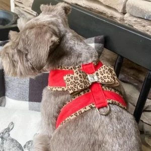 Susan Lanci Two Tone Big Bow Tinkie Harness in Red with Cheetah Trim